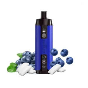 Blueberry Gum